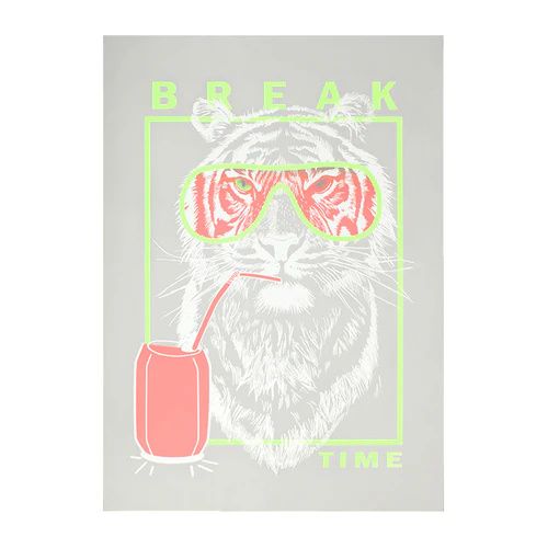 Color Prime Quick Glide DTF Film Sheets - 13" x 19" (100 Pack) #2