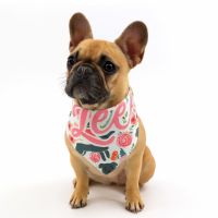 DyeTrans Pet Bandana Sublimation Blank - 25" x 7.25