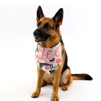 DyeTrans Pet Bandana Sublimation Blank - 34" x 10.5"