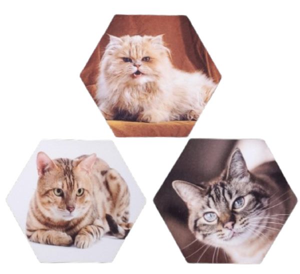 DyeTrans&reg; Blank Felt Hexagon Tile - for Sublimation or UV Print #3